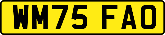 WM75FAO