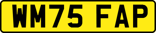 WM75FAP