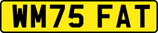 WM75FAT