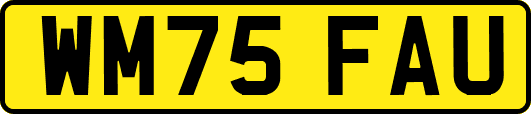 WM75FAU