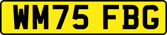WM75FBG