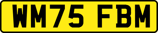 WM75FBM