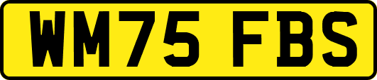 WM75FBS
