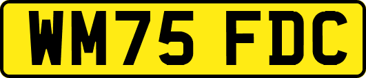 WM75FDC