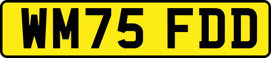 WM75FDD