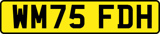 WM75FDH