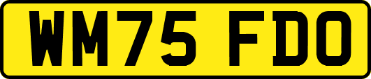 WM75FDO