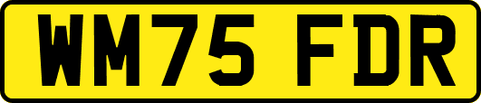 WM75FDR
