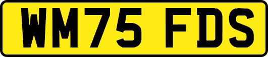 WM75FDS