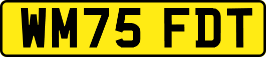 WM75FDT