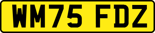 WM75FDZ