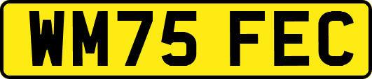 WM75FEC