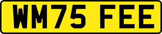 WM75FEE