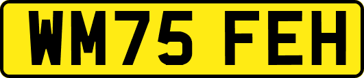 WM75FEH