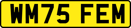 WM75FEM