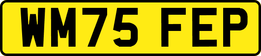 WM75FEP