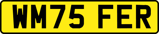 WM75FER