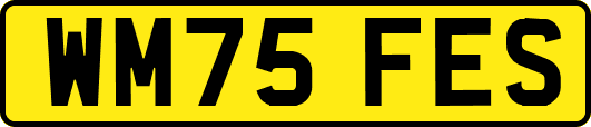 WM75FES
