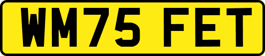 WM75FET