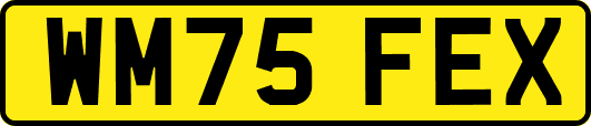 WM75FEX