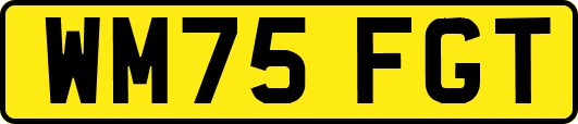 WM75FGT