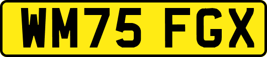 WM75FGX