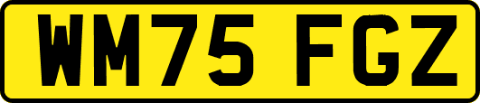 WM75FGZ