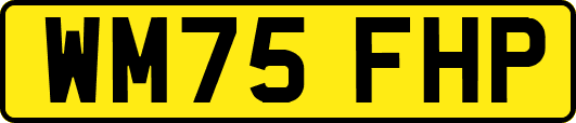 WM75FHP