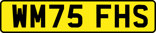 WM75FHS