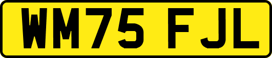WM75FJL