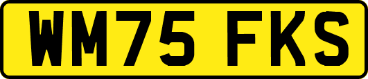 WM75FKS