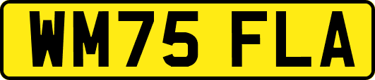 WM75FLA