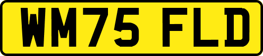 WM75FLD