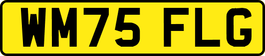 WM75FLG