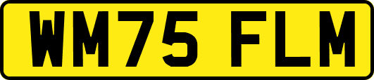 WM75FLM