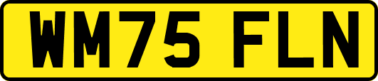 WM75FLN