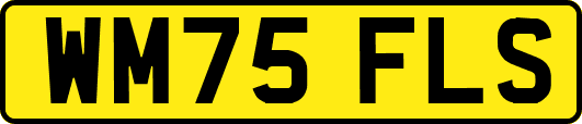 WM75FLS