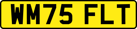 WM75FLT