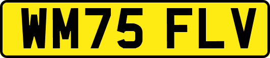 WM75FLV