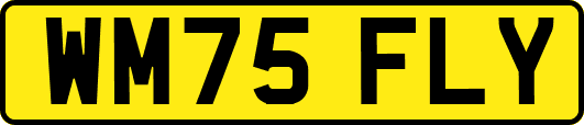 WM75FLY