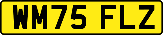 WM75FLZ