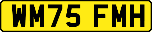 WM75FMH