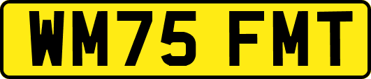 WM75FMT