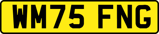 WM75FNG