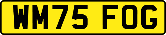 WM75FOG