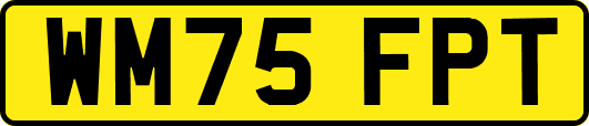 WM75FPT