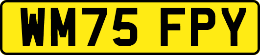 WM75FPY