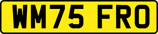 WM75FRO