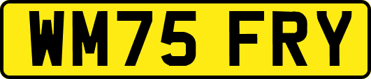 WM75FRY