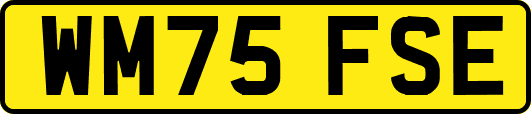 WM75FSE
